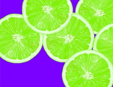 Limes - Digital illustration